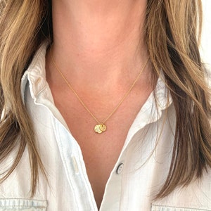 May include: A gold chain necklace with two small, round pendants. The pendants are engraved with letters.