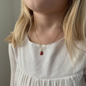 Pu&ograve; includere: Una collana con catena dorata e un piccolo ciondolo a forma di coccinella rossa.