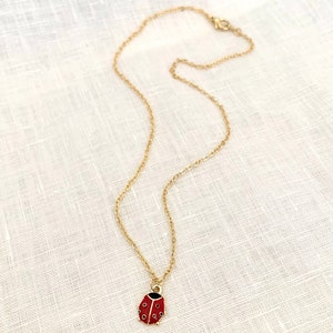 Pu&ograve; includere: Una collana con catena dorata con un ciondolo a forma di coccinella rossa. La coccinella ha punti neri e una testa nera.