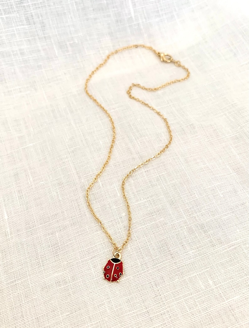 Pu&ograve; includere: Una collana con catena dorata con un ciondolo a forma di coccinella rossa. La coccinella ha punti neri e una testa nera.