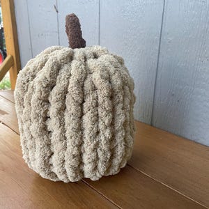 May include: A round, plush pumpkin crafted from thick, beige chenille yarn with a textured, ribbed surface. The pumpkin features a small, upright stem made of dark brown, fuzzy yarn attached to the center top of the rounded body.