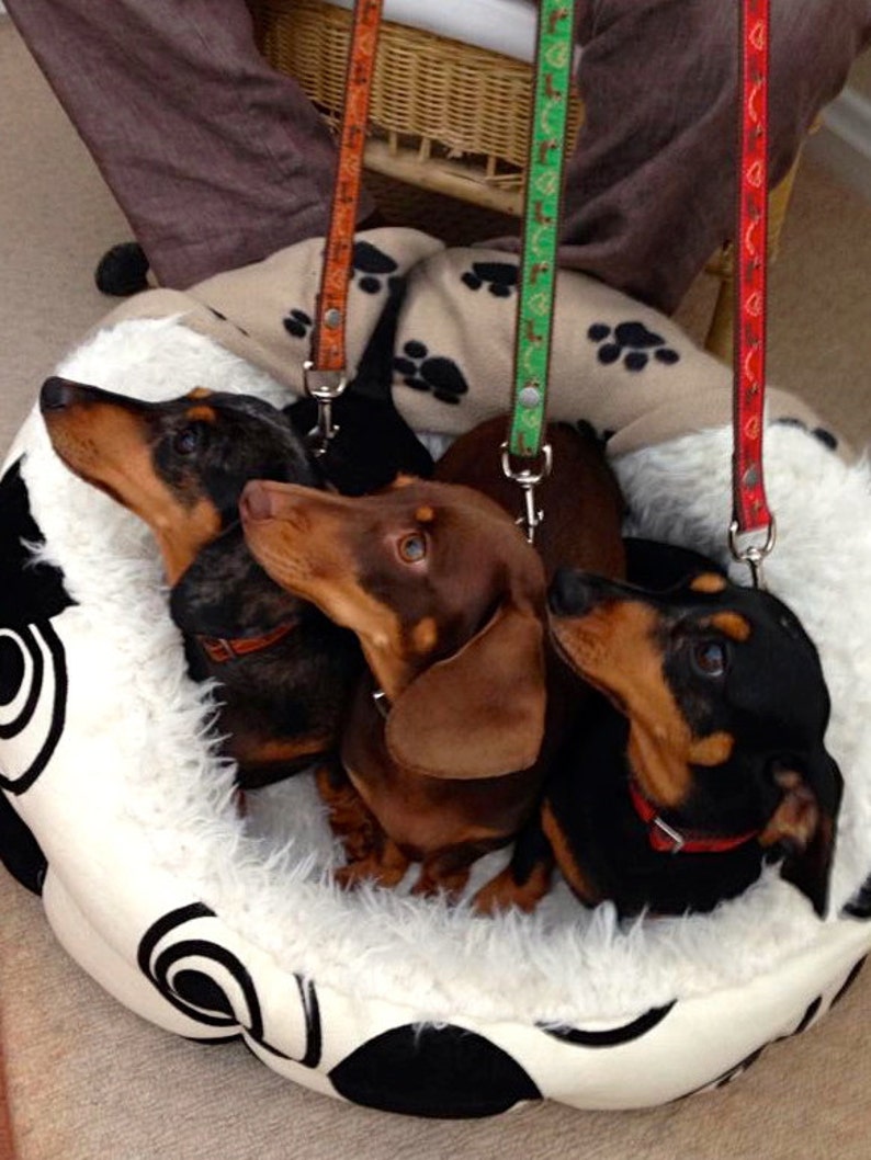 I Love Sausages red Dog Lead Leash Weiner Dachshund Gift Etsy