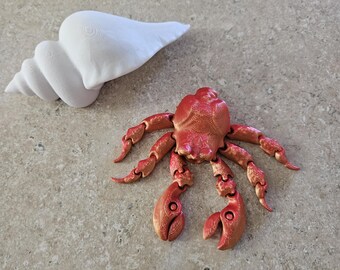 ¡No te asustes! ¡Conoce al ermitaño emprendedor!