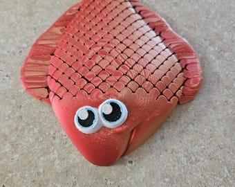 ¡Conoce a tu nuevo amigo favorito: el lenguado flojo!