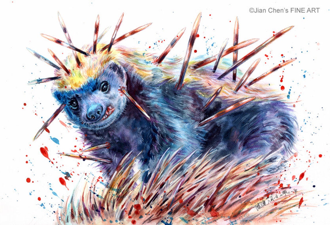 Honey badger with porcupine 10 different sizes to choose Etsy