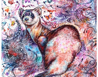 ferret (10 different sizes to choose from, all FREE SHIPPING in UK )