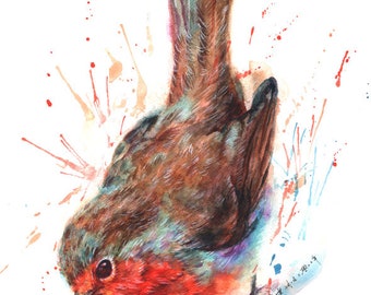 a robin bowing (red)  (10 different sizes to choose from, all FREE SHIPPING in UK )