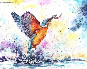 kingfisher (10 different sizes to choose from, all FREE SHIPPING in UK )