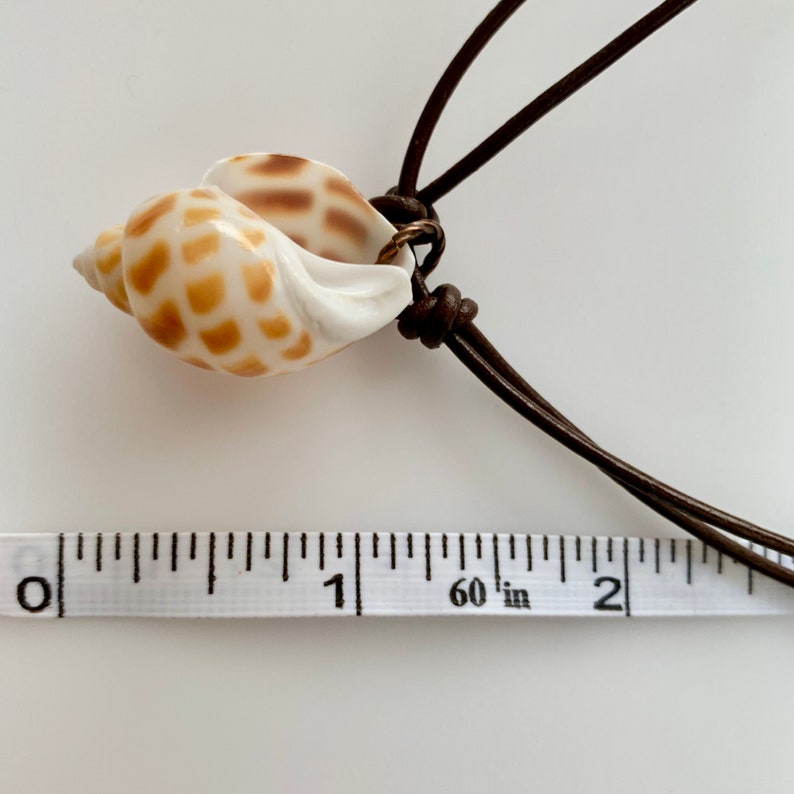Brown Ivory Natural Scotch Bonnet Seashell Pendants Brown - Etsy