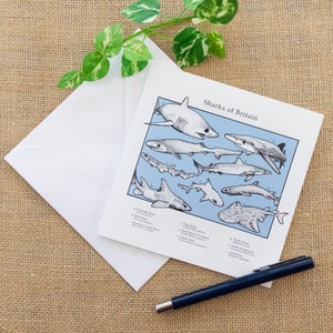 Tarjeta de felicitación de tiburones de Gran Bretaña Tarjeta de tiburón Tarjeta científica Tarjeta de cumpleaños de historia natural Tarjeta de cumpleaños de tiburón Amante de los tiburones Tiburones del Atlántico