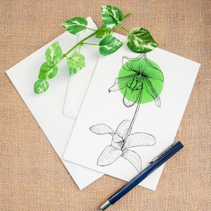 Green Lady Slipper Orchideebloem Geïllustreerde Wenskaart Minimale Bloemenkaart Elegante Grafische Wenskaart Verjaardagskaart Moederdag