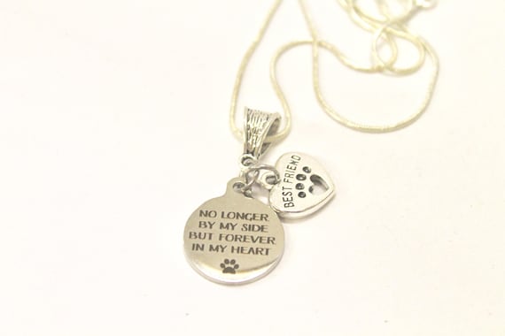 No Longer By My Side But Forever In My Heart Silver Necklace, Loved Pet Memorial Jewelry Gift For Her, Sympathy Pet Remembrance
