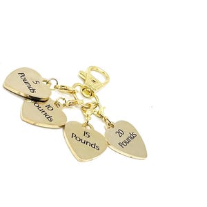 Goldtone Weight Loss Tracker Clip On Charms, Weight Loss Celebration Key Chain, Weight  Goals, Celebration Gifts, Gift For Her, Pounds Lost