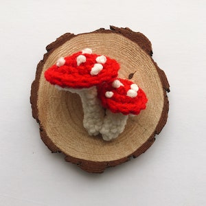 Mounted Mushrooms