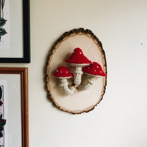 Mounted Mushrooms