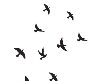 May include: Silhouette of nine black birds flying in different directions against a white background.