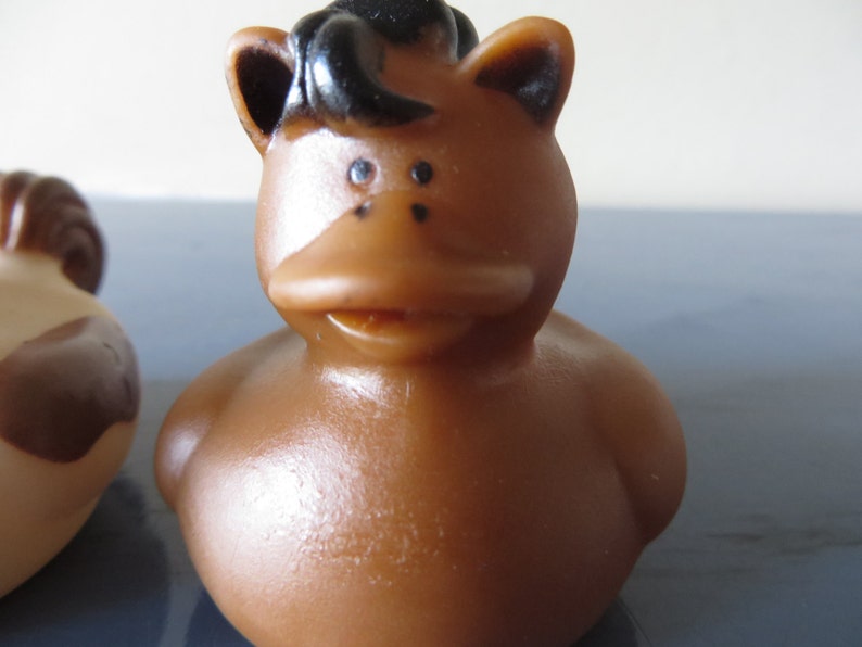 Horse Rubber Ducks Great for Your Lil Equestrian Horse Etsy