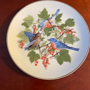 Eastern Bluebird Collectors Plate