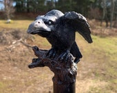 Perched Raven On A Gnarled Tree Branch Hand Carved Spiral Walking Stick Made From Poplar Wood