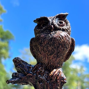 Owl Walking Stick Made From Rustic Spiral Carved Poplar Wood
