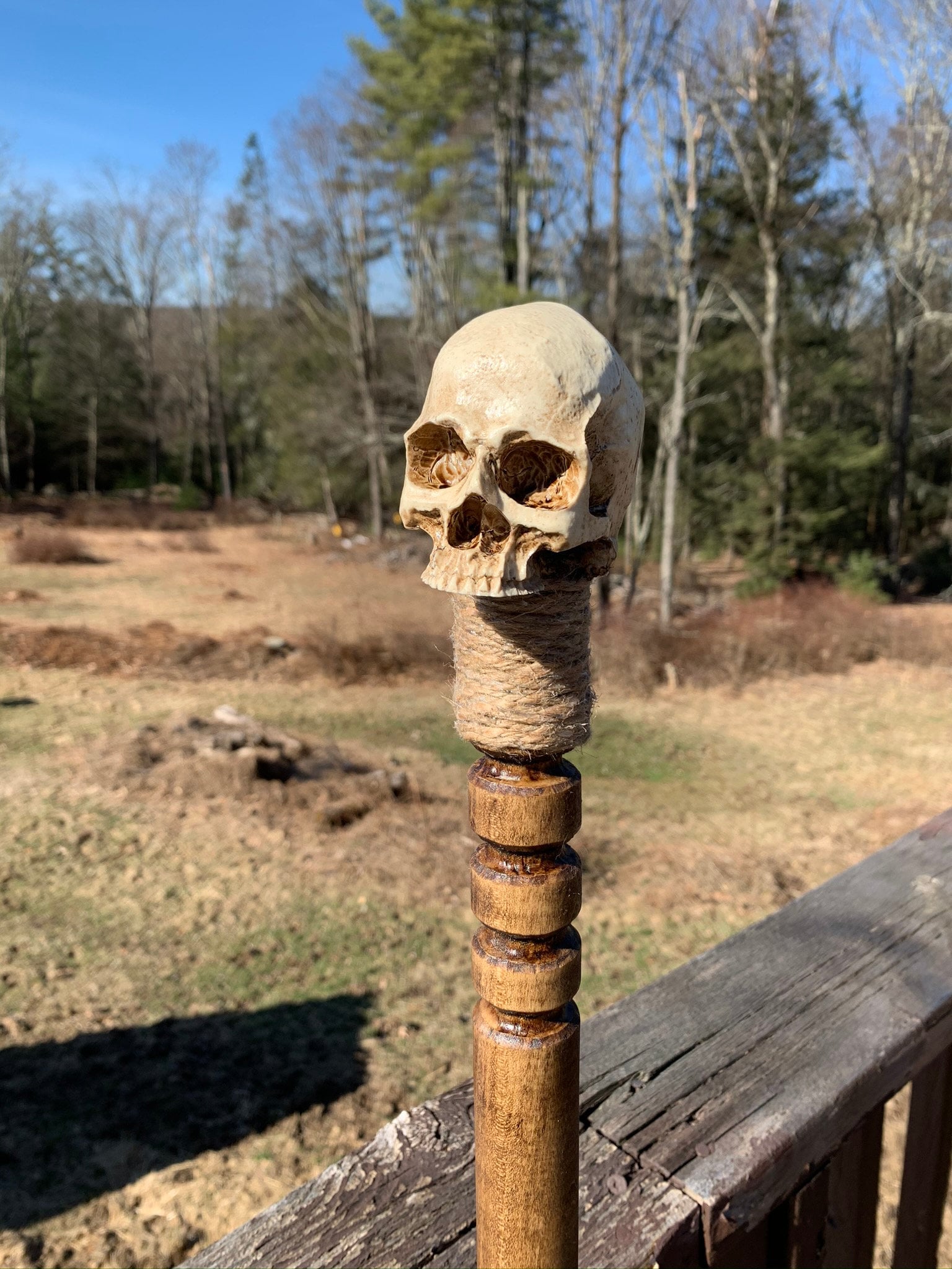 Skull Head Poplar Hand Carved Walking Stick Gothic Voodoo Etsy
