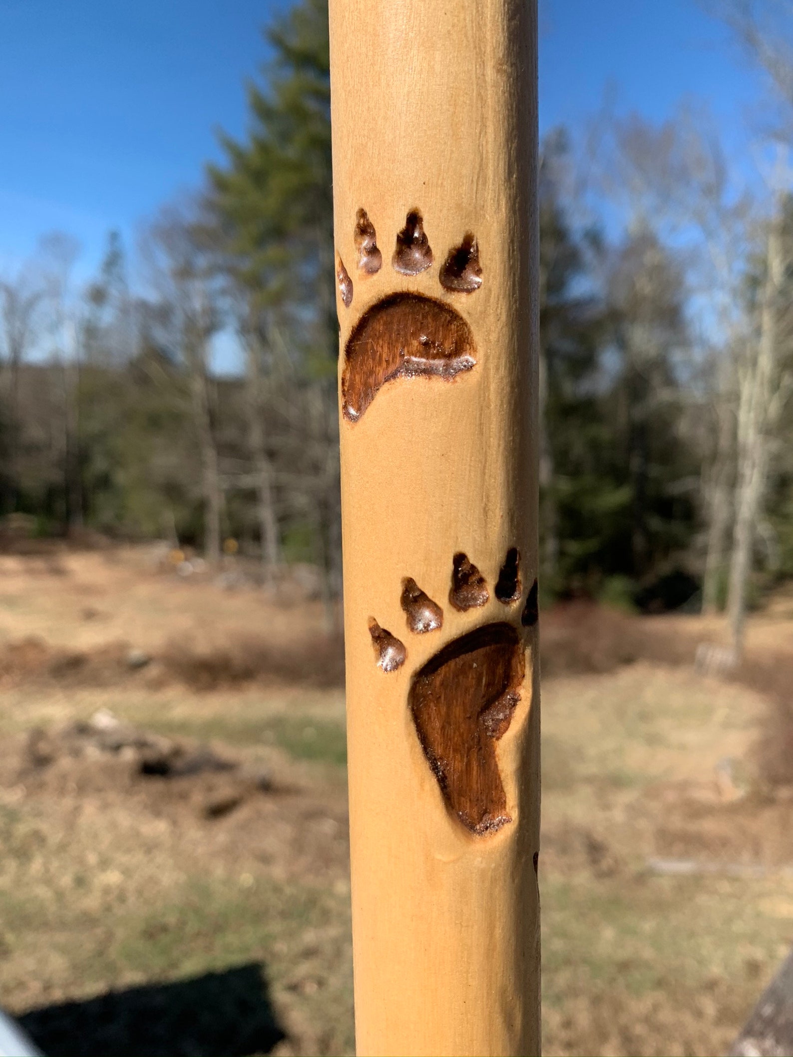Grizzly Bear Walking Stick Made From Poplar Wood Featuring Etsy