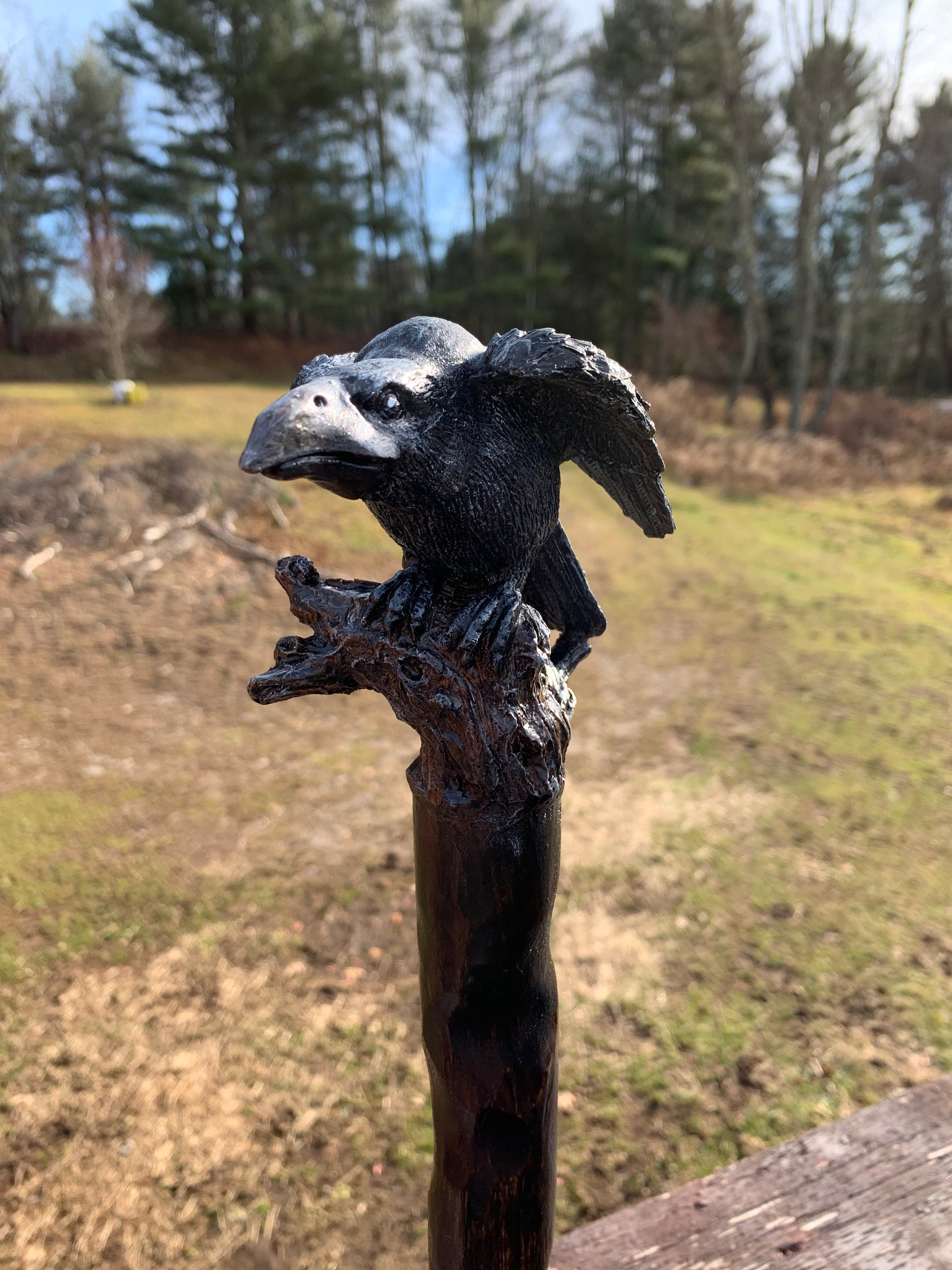 Perched Raven On A Gnarled Tree Branch Hand Carved Spiral Walking Stick Made From Poplar Wood