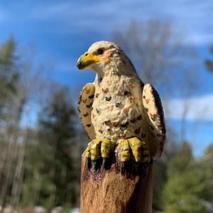 Red-tailed Hawk Walking Stick Made From Spiral Carved Poplar Wood Featuring A Hand Painted Hawk Figure Topper And A Natural Hemp Cord Wrap