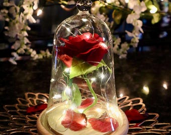 Enchanted Rose: Beauty and the Beast Inspired LED Glass Dome Display