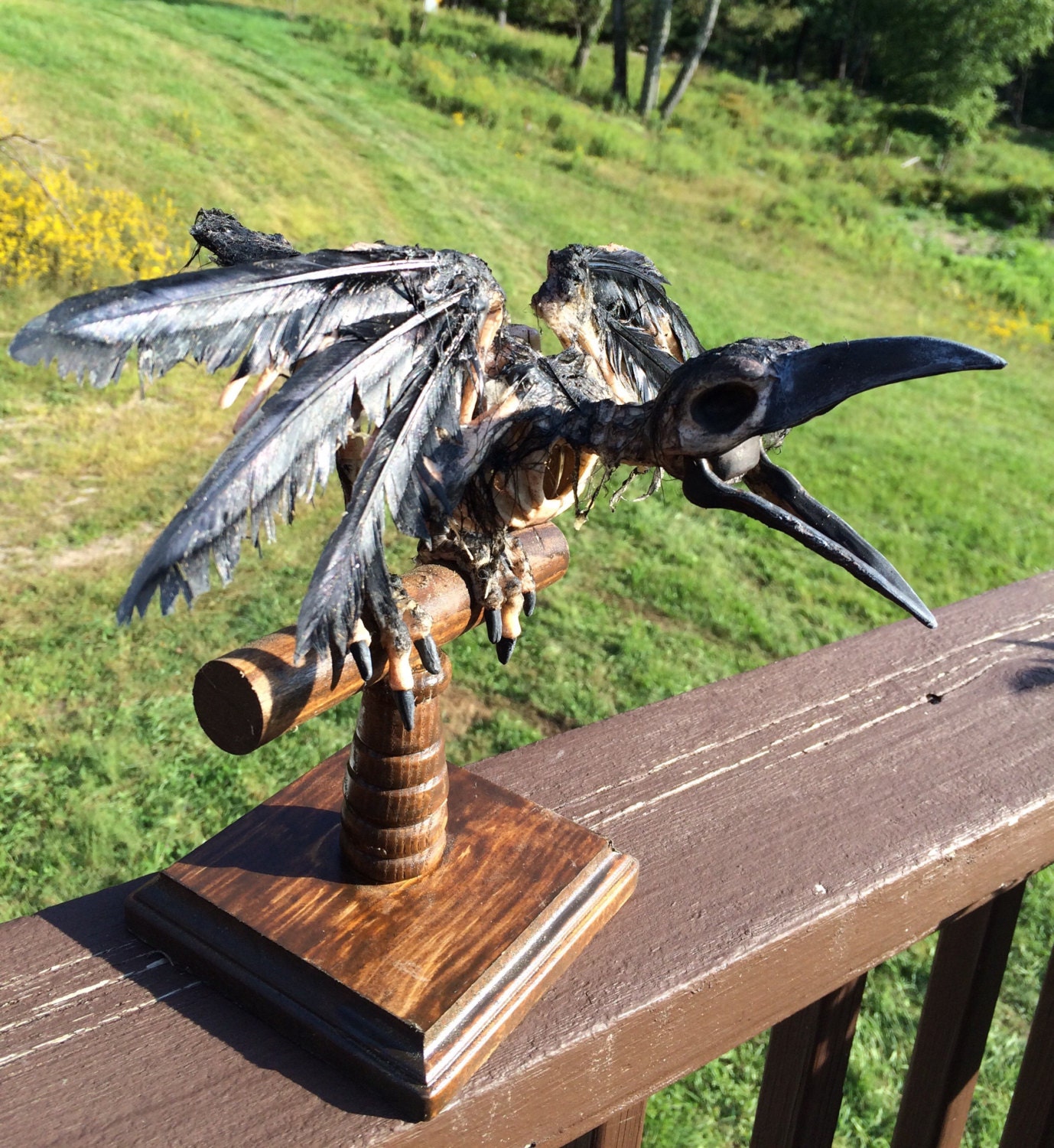 Raven Skeleton Prop on A Rustic Wooden Perch | Etsy
