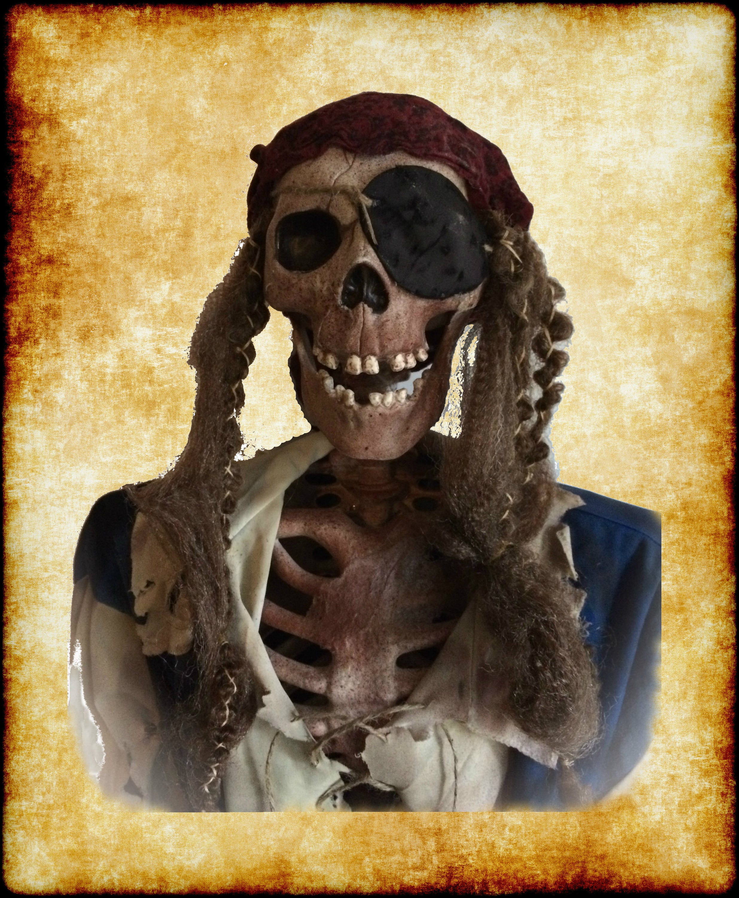 Pirate Skeleton Etsy