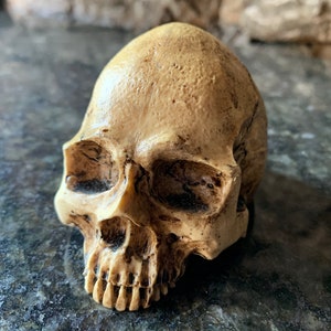 Aged Miniature Gothic Skull