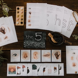 The Five Senses // Learning + Activity Bundle