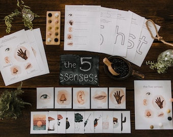 The Five Senses // Learning + Activity Bundle