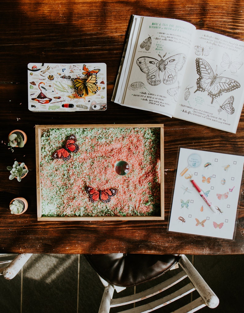 Sensory Seek & Find Activity Bundle // Insects image 3