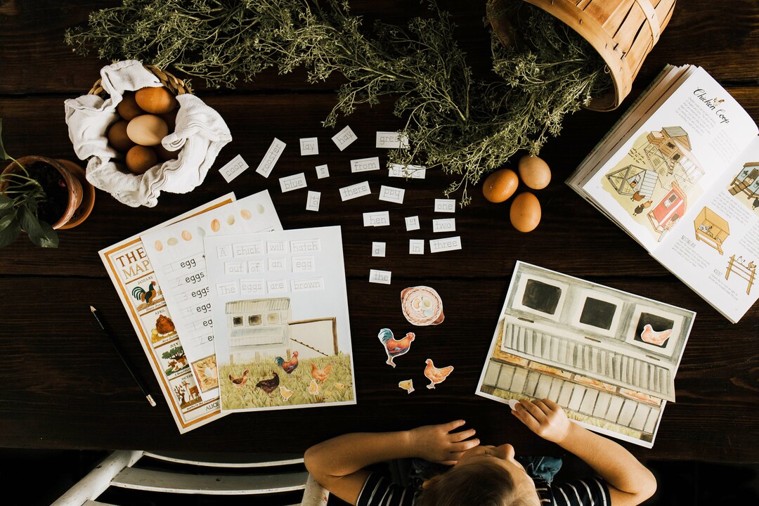 Chicken Coop Activity Etsy