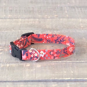 Floral Dog Collar, Red/Orange Dog Collar, Girl Dog Collar, Dog Collar, Flower Dog Collar, Rifle Paper Co.