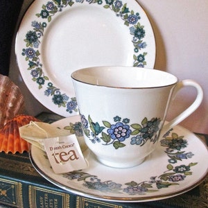 May include: A white teacup and saucer with a floral pattern in shades of blue, green, and pink. The saucer has a gold trim. The teacup is sitting on a stack of books with a green cover. A tea bag is sitting on the saucer. The tea bag has the text "Daven's Choice tea" printed on it.