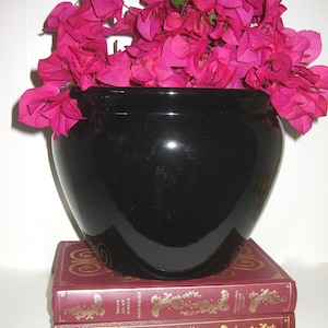 May include: A black ceramic planter with a wide rim sits on top of two red books with gold lettering. The planter is filled with pink bougainvillea flowers.