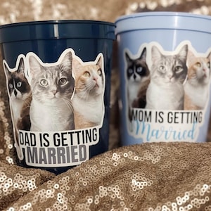May include: Two plastic cups, one navy blue and one light blue, with cat-themed stickers. The navy cup reads "DAD IS GETTING MARRIED" and the light blue cup reads "MOM IS GETTING Married". The cups are on a gold sequined surface.