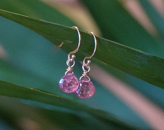 Pink Umba Sapphire 14K Gold Earrings