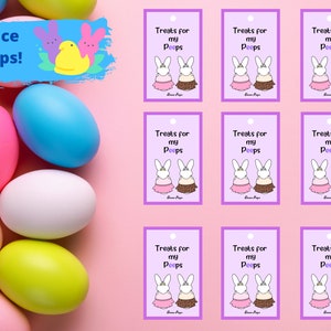 Easter Gift Basket   Dance Peep Basket tags   Cute, fun, tags for dancers, girls boys, adults png