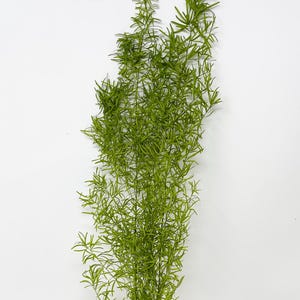 Asparagus Sprengeri Green DIY Floral arrangement Wedding decor wedding flower Lime Green boutonniere Green dried flower gift boutonniere