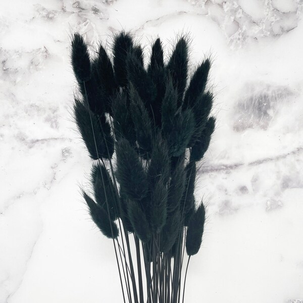 Black Lagurus Dried flower Wedding Floral arrangement Black flower Dry stem flower Wedding decor Black DIY Home decor Wedding flower 15g
