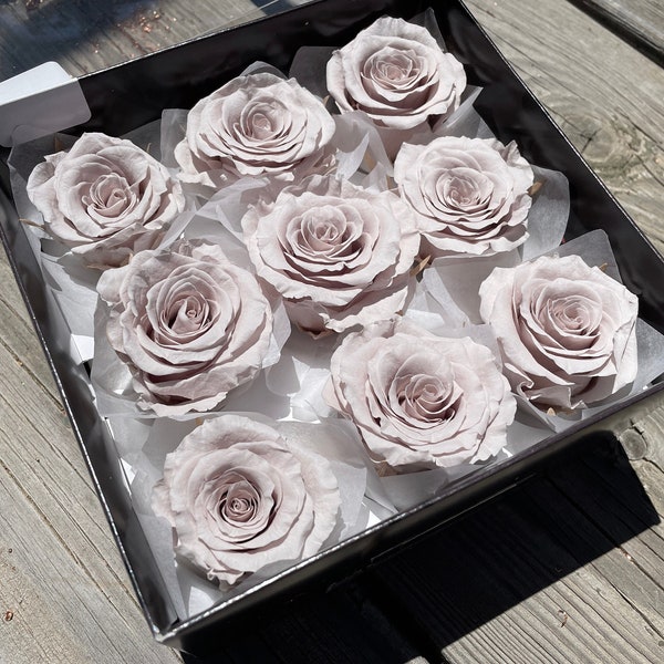 Wedding Rose Preserved Rose Grey Floral Arrangement Flower Dried Home decor Rose Head Calm Light Gray Rose Boutonniere Bouquet Neutral Color