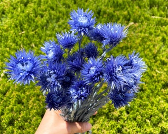 Cobalt Blue Silver Daisy Dried Flower Blue Floral Arrangement Blue Home Decor Wedding Blue Dry Flower Arrangement Gift Bouquet Daisy 25g