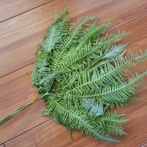 Spring Green Mountain Fern Qty 10 Green Dried Flower Green Wedding Decor Home Floral Arrangement Green Flower Arrangement Bouquet Wedding