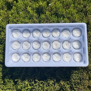 SMALL White Rose Small 21 Preserved Roses Wedding decor Floral arrangements Wedding preserved Roses Tiny DIY Home decor Bridal Shower