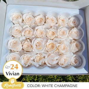 White Champagne Small Rose Qty 24 preserved Rose Vivian Off White Dried flower Home Decor White wedding floral Arrangement Bouquet Corsage
