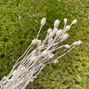 White dry flower wedding Dried flower decor DIY Floral arrangement White wedding flower DIY Flower arrangement Home decor gift flower dry